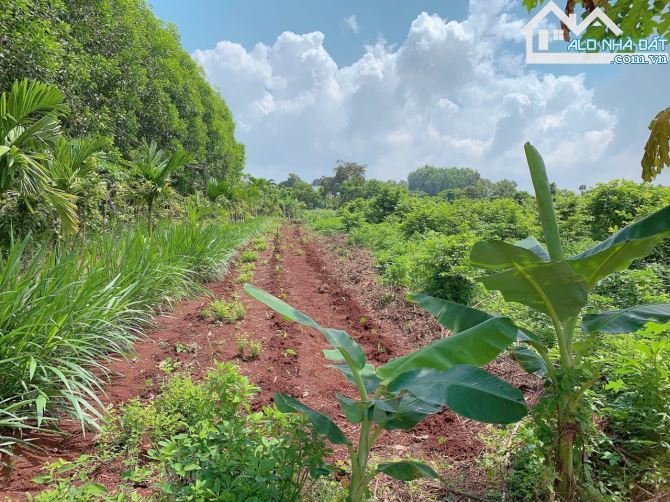 Bán khoảng 3 sào (2990m2) đất xã Láng Lớn, huyện Châu Đức, BRVT.