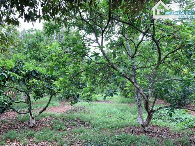 Bán khoảng 4 sào 5 (4548m2) đất Láng Lớn, huyện Châu Đức, BRVT.
