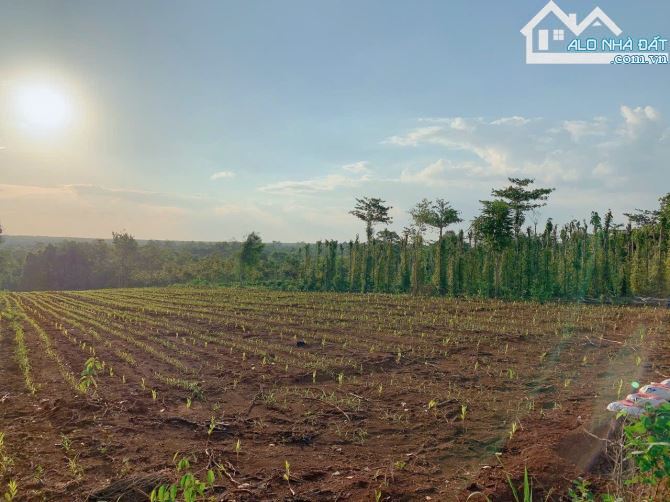 Bán khoảng 7 sào 5 VIEW SUỐI (7514m2) đất Láng Lớn, huyện Châu Đức, BRVT.