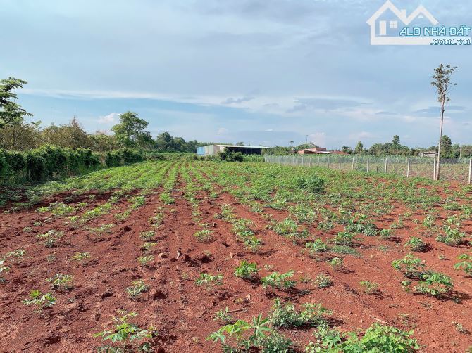 Bán khoảng 2 sào (2069m2) đất xã Láng Lớn, huyện Châu Đức, BRVT.