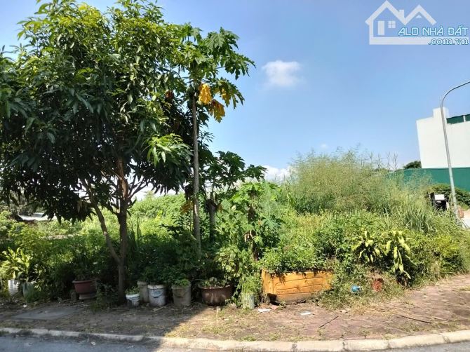 15.x Tỷ/120 M2/ 12 M tiền/ Khu Đấu Giá Cổ Bi/ Vỉa Hè Ô tô Chánh