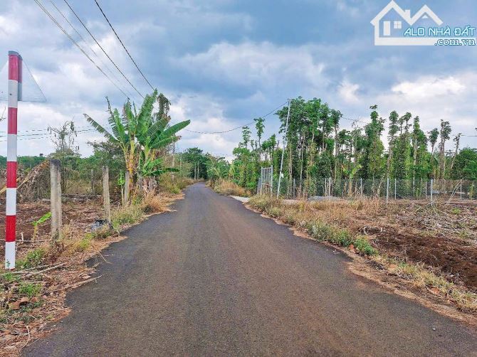 LÔ ĐẤT GẦN 5000M2 VIEW SUỐI, PHỦ HỒNG, MẶT TIỀN ĐƯỜNG NHỰA THÔNG, GIÁ NGỘP SIÊU RẺ