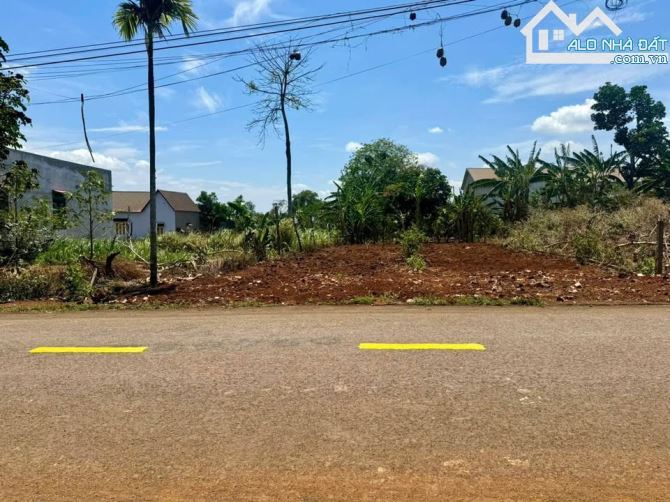Bán Đất 215m Mặt Tiền, Thổ Cư 250m², Xã Đá Bạc, Châu Đức - Quy Hoạch 100% Đất Ở