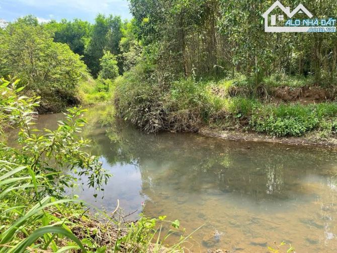 Bán Đất View Suối – Xã Đá Bạc, Huyện Châu Đức, BRVT Diện tích: 12.812m²