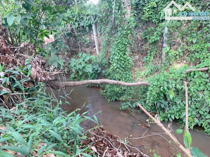 Bán khoảng 1 sào (1000m2) đất Bình Ba, huyện Châu Đức, BRVT.