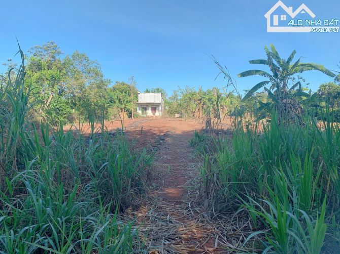 Bán khoảng 3 sào 4 (3482m2) đất Bình Ba, huyện Châu Đức, BRVT.