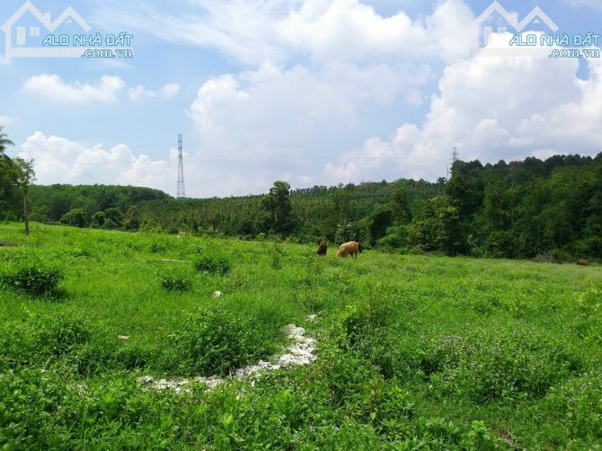 Bán khoảng 3 mẫu (30.193m2) đất Kim Long, huyện Châu Đức, BRVT.