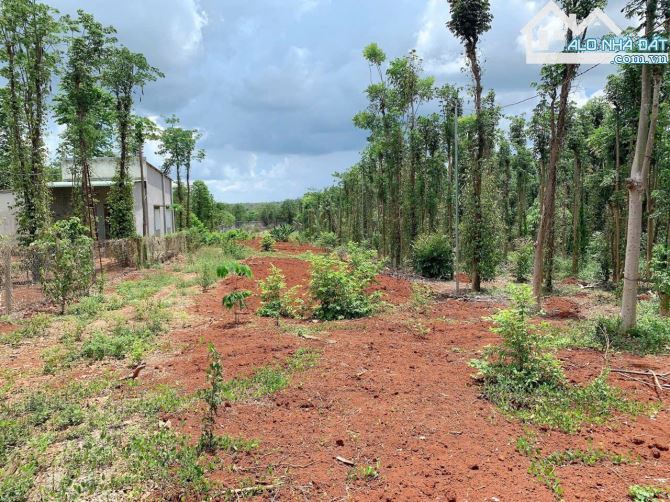 Bán khoảng 3 sào (3019m2) đất Kim Long, huyện Châu Đức, BRVT.