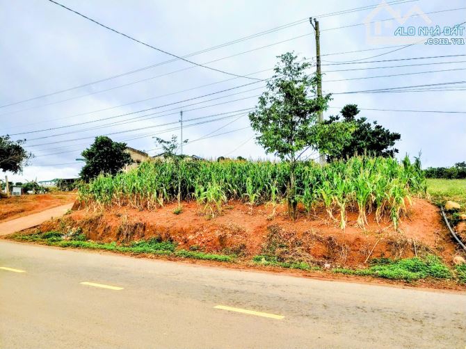Bán đất thổ cư 37mx50m mặt tiền DH6,xã Tà Hine,Lâm Đồng.chỉ 190 triệu/1 mét ngang