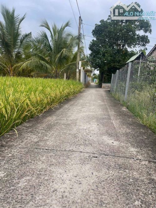 1884m2 đất 2 Mặt tiền Nhựt Chánh Bến Lức sát TL832 chỉ 1tỷ550