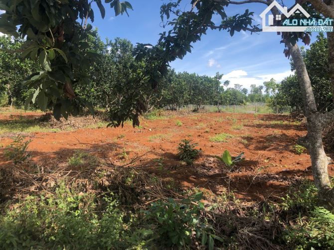 Đầu tư sinh lời đất Kim Long – Gần trục lớn, 2962m², có vườn & sổ hồng riêng