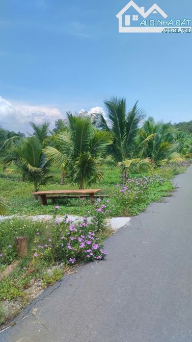 Đất nghỉ dưỡng 6 mẫu 9 Kim Long – mặt tiền 800m, đường nhựa, gần hồ thơ mộng