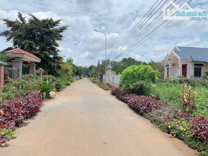 Bán 24,5x48 có 240tc đất thị trấn Kim Long, huyện Châu Đức, BRVT.