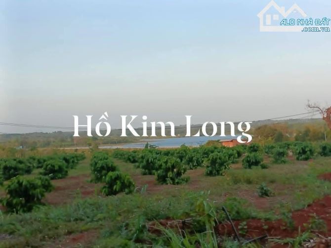 Cần bán 11 x 50 đất view hồ. đất thị trấn kim Long huyện châu Đức brvt