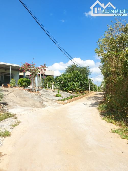BÁN GẤP GẦN 1 SÀO ĐẤT PHỦ HỒNG CÓ 60 THỔ GIÁ CHỈ 2 TỶ