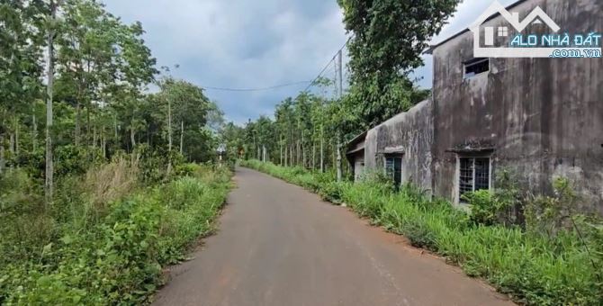 Bán khoảng 1 mẫu 2 (11.958m2) đất Bàu Chinh, huyện Châu Đức, BRVT.