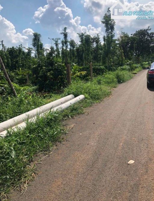 CẦN BÁN 2 SÀO ĐẤT BÀU CHINH ĐƯỜNG NHỰA BÀU CHINH GIÁ 3,1 TỶ