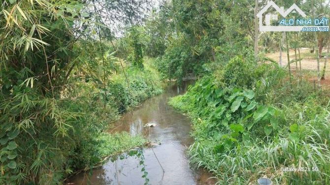 Bán đất Bình Ba – View Suối  7000m2 giá 750 triệu/sào