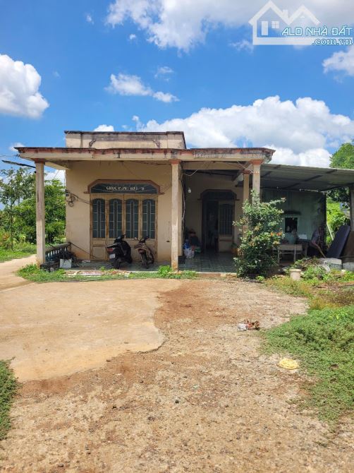 NHÀ VƯỜN + VƯỜN CÂY ĂN TRÁI 2 MẶT TIỀN VIEW SUỐI, SẴN THỔ CƯ, LIỀN KỀ CAO TỐC, GIÁ SIÊU RẺ