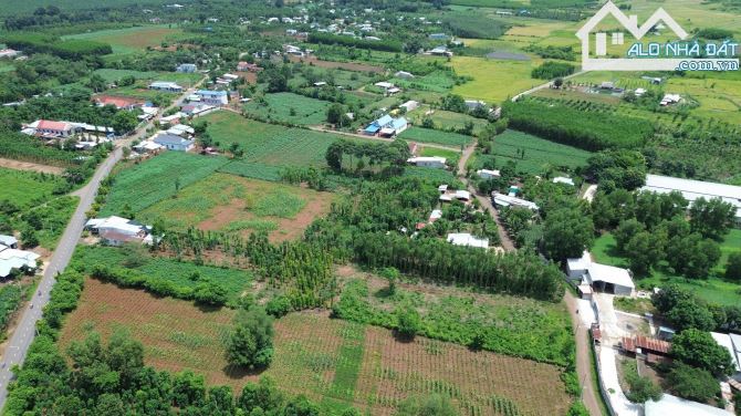 Lô đất đẹp giá đầu tư, 2435m² ngay ngã 6 cây me đá bạc