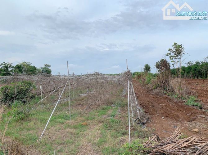 Bán khoảng 4 sào 8 (4793m2) đất Đá Bạc, huyện Châu Đức, BRVT.