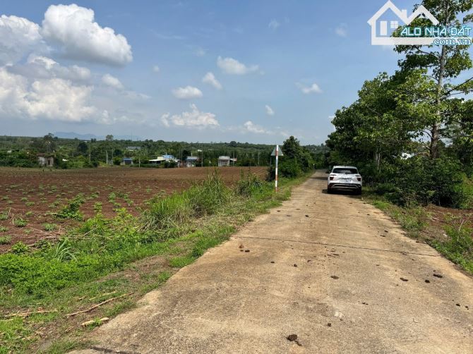 Đầu tư đất đẹp Châu Đức đừng bỏ qua lô này: 2.942m2 phủ hồng phân được 12 lô đã có bản vẽ