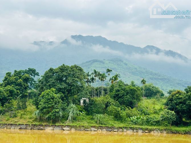 2,8HA ( 2000M2 ĐẤT Ở ) TRONG ĐẤT CÓ HỒ CÓ SUỐI THẾ ĐẤT CỰC ĐẸP