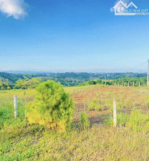 👍View này làm nhà đỉnh của đỉnh. Bán đất Ngay Lê Thị Riêng, Lộc Châu Phường 3 Bảo Lộc