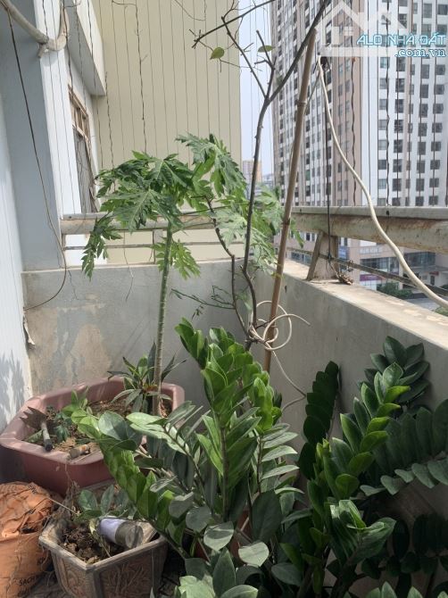 Chinh chủ cho thuê căn hộ 122.2 m2 tại Phố Nguyễn Cảnh Dị, Đại Kim Phường Định Công HN - 10