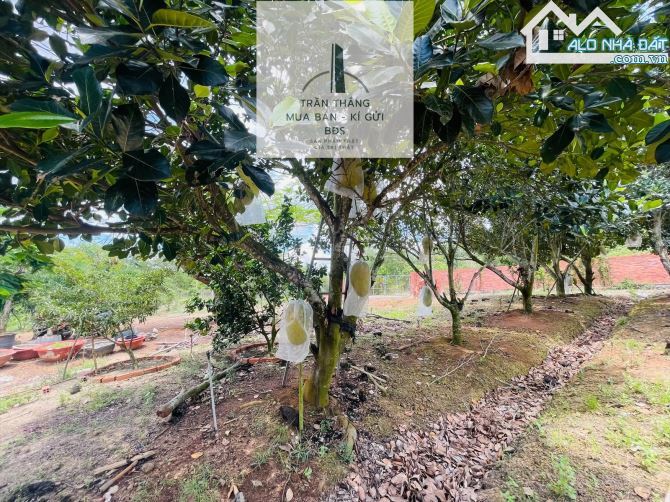 10 Mẫu Đất View Hồ - Có 300m Thổ Cư - Giáp Nước - 1.000m Mặt Tiền Đường Nhựa - 10