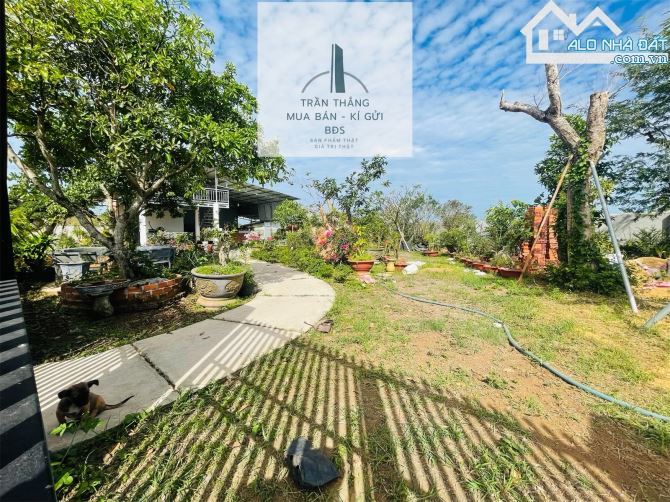 Nhà Vườn Xã Đá Bạc - Góc 2 MT - Có Thổ Cư - Chủ Để Lại Toàn Bộ Cây Cảnh - 10