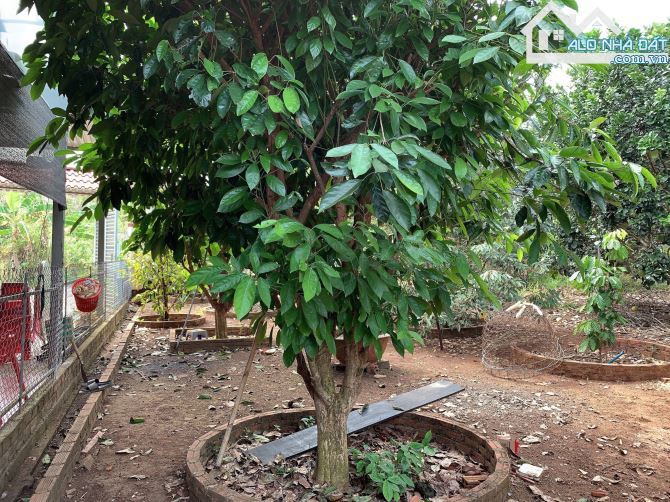Bán khoảng 3 sào 4 (3411m2) đất Bàu Chinh, huyện Châu Đức, BRVT. - 10