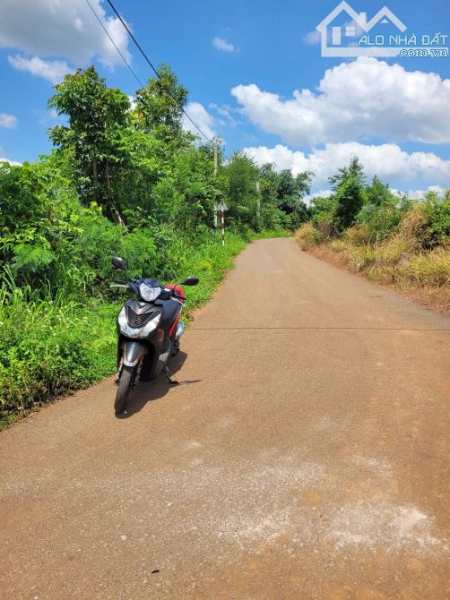 NHÀ VƯỜN + VƯỜN CÂY ĂN TRÁI 2 MẶT TIỀN VIEW SUỐI, SẴN THỔ CƯ, LIỀN KỀ CAO TỐC, GIÁ SIÊU RẺ - 10