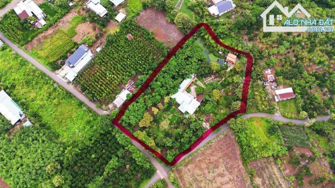 Bán khoảng 6 sào 1 (6115m2) đất Đá Bạc, huyện Châu Đức, BRVT. - 10