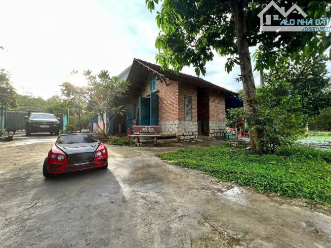 Cần bán đất + nhà vườn view kênh sông sài gòn đường Cây Gõ Xã An Nhơn Tây 4200m2 2000m thổ - 1