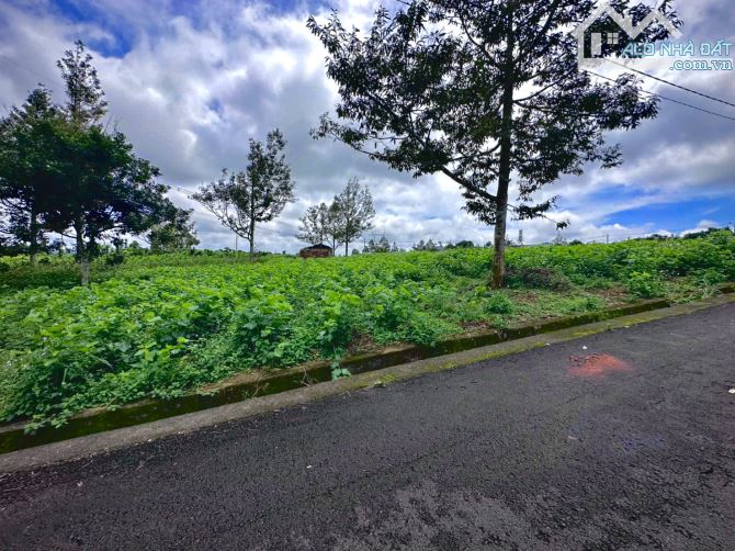 ĐẤT NỀN VIEW HỒ GIÁ TỐT. GẦN DÂN CƯ. GẦN TIỆN ÍCH - 1