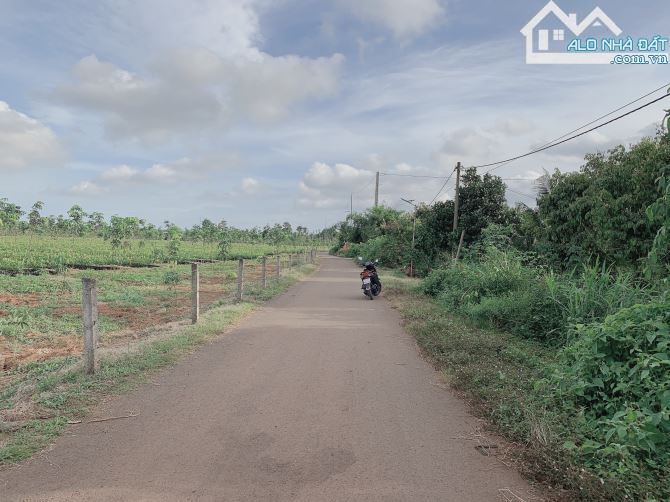 Bán khoảng 1 sào (1070m2) đất Xà Bang, huyện Châu Đức, BRVT. - 1