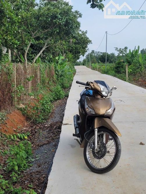 Bán vườn trái cây khoảng hơn 1 mẫu 9 sẵn 300tc hơn 400m mặt tiền đường bê tông.Giá 15ty500 - 1