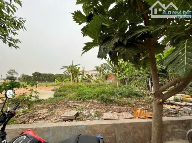 🔥 Đất thổ cư Đường Thạnh Lộc 19 / P. Thạnh Lộc, Quận.12 dt 232m2 (9,4mx25m) hẻm 6m 💵11,5 - 1