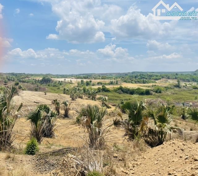 Đất Vỉew Hồ Suối Rao khoảng 400m giáp mặt hồ, đường nhựa ô tô vào tận nơi - 1