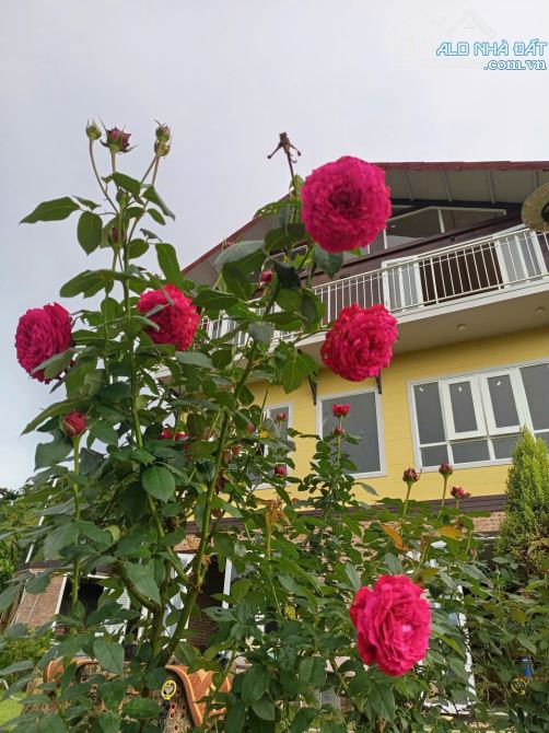 Chỉ 3,9 tỷ có ngay Biệt thự nghỉ dưỡng và vườn sầu riêng, giáp suối, view đỉnh, săn mây. - 1