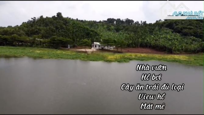 Cần bán 16000m2 có 300tc view hồ quãng thành châu đức brvt. - 1