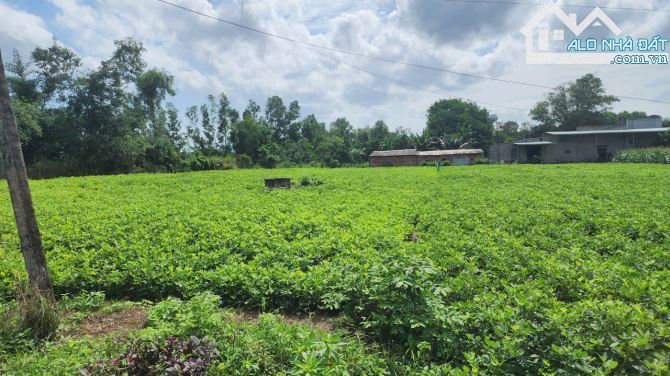 Bán lô đất mặt tiền đường bê tông sẵn thổ cư xã Nghĩa Thành, tp Hồ Chí Minh - 1