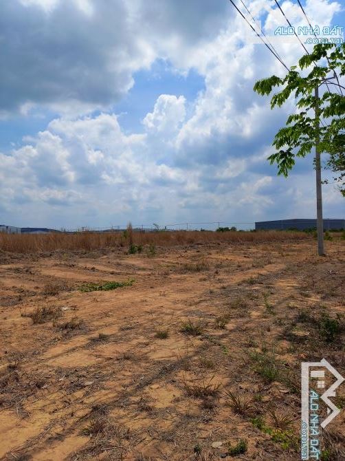 Bán đất xây dựng xưởng 30000m2 KCN Châu Đức, Xã Nghĩa Thành, Huyện Châu Đức, BRVT - 1