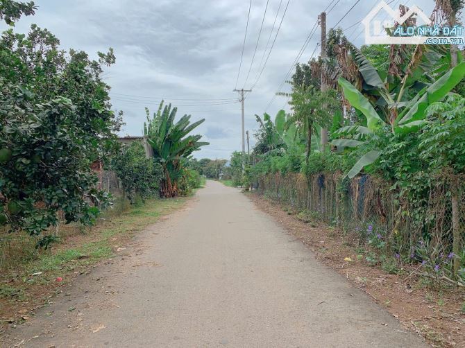 Bán khoảng 1 sào (1009m2) đất Láng Lớn, huyện Châu Đức, BRVT. - 1
