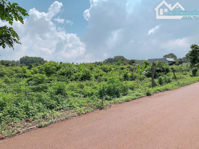 Bán khoảng 3 sào (2990m2) đất xã Láng Lớn, huyện Châu Đức, BRVT. - 1