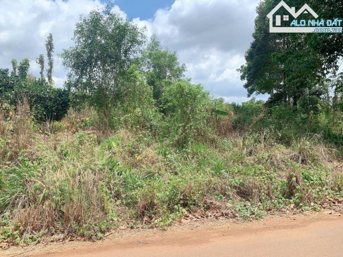 Bán khoảng 1 sào (1067m2) đất Láng Lớn, huyện Châu Đức, BRVT. - 1