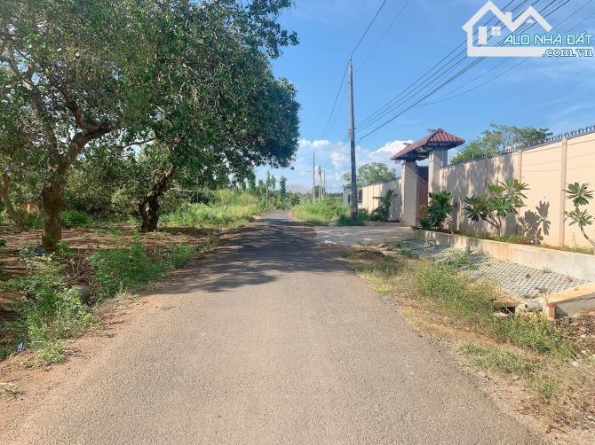 Bán khoảng 3 sào 1 (3157m2) đất Láng Lớn, huyện Châu Đức, BRVT. - 1
