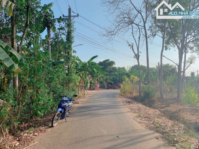 Bán khoảng 6 sào 5 (6490m2) đất Láng Lớn, huyện Châu Đức, BRVT. - 1