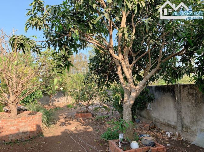 Bán khoảng 1 mẫu (10.213m2) đất Láng Lớn, huyện Châu Đức, BRVT. - 1